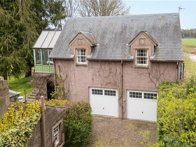 Picture 38